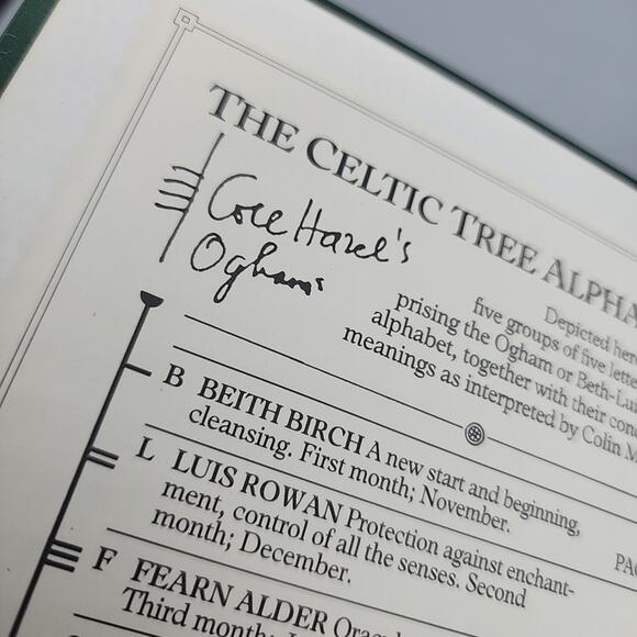 The Celtic Tree Oracle System of Divination First US Edition Hardcover - Picture 5 of 16